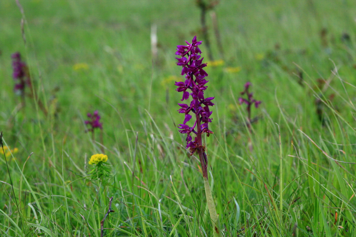 2013_06_03_00017894_Bildgr��e �ndern