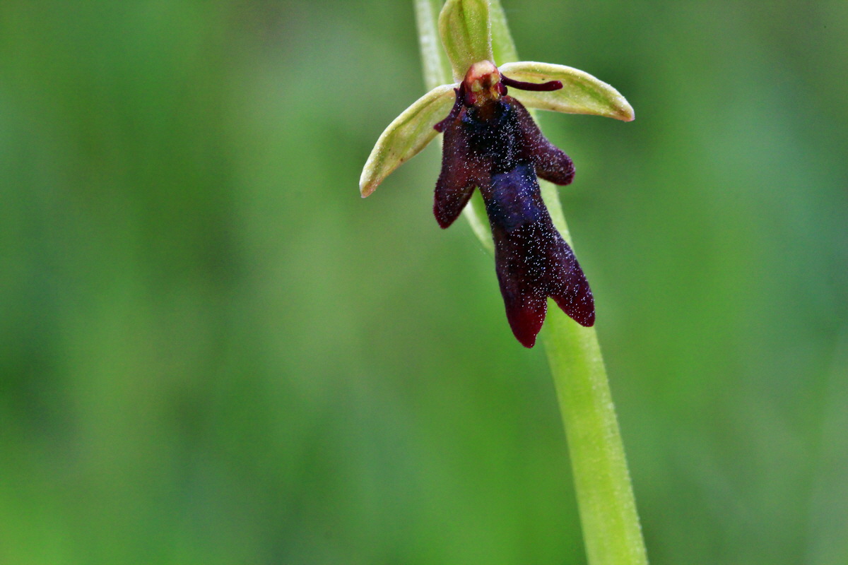 2013_06_03_00017905_Bildgr��e �ndern