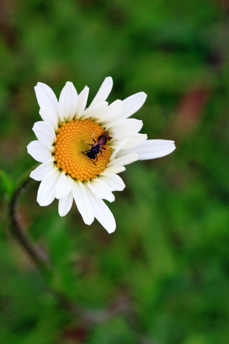 2013_06_03_00017997_Bildgr��e �ndern