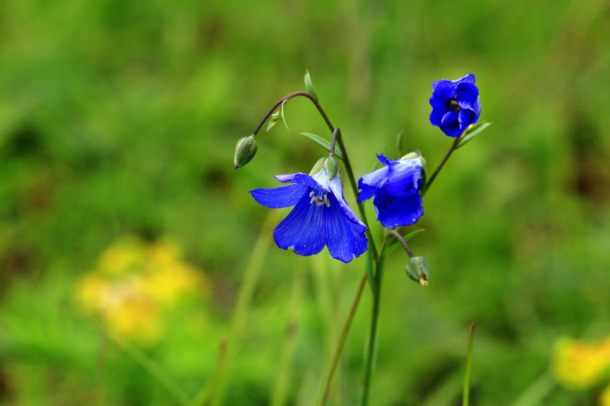 2013_06_03_00018015_Bildgr��e �ndern