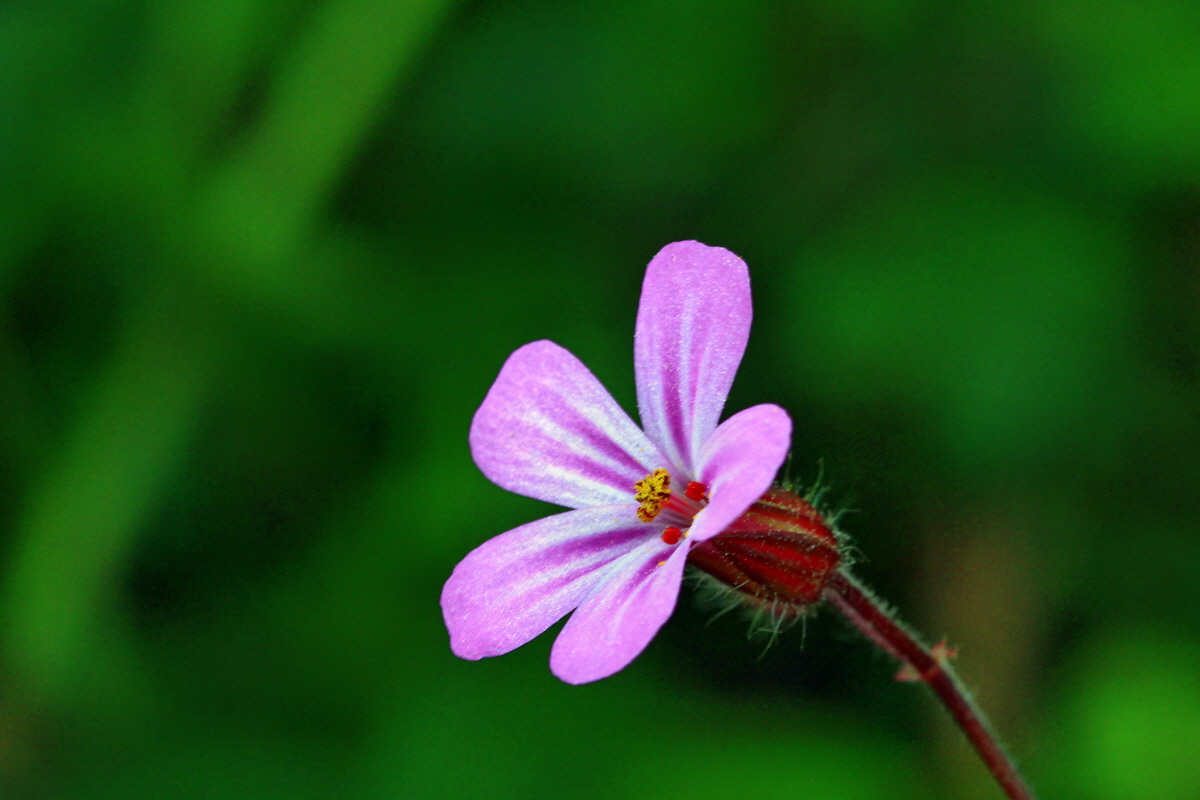 2013_06_03_00018032_Bildgr��e �ndern