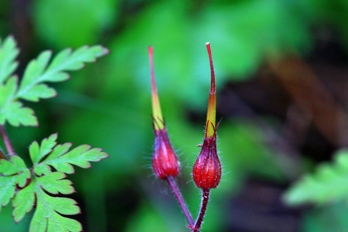 2013_06_03_00018033_Bildgr��e �ndern