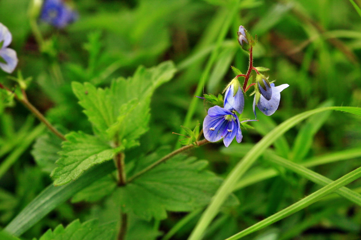 2013_06_03_00018037_Bildgr��e �ndern