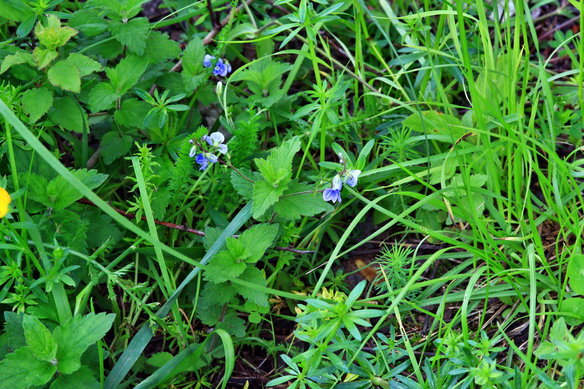 2013_06_03_00018042_Bildgr��e �ndern