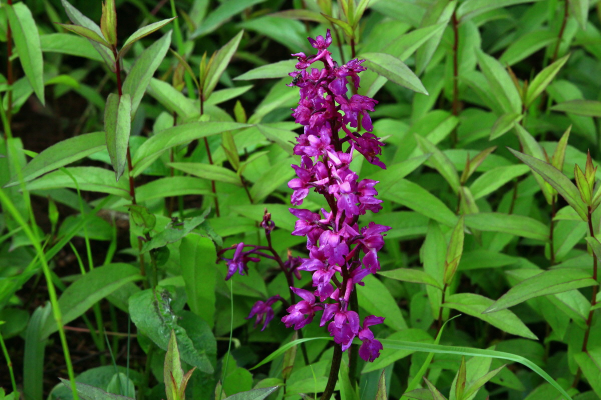 2013_06_03_00018130_Bildgr��e �ndern