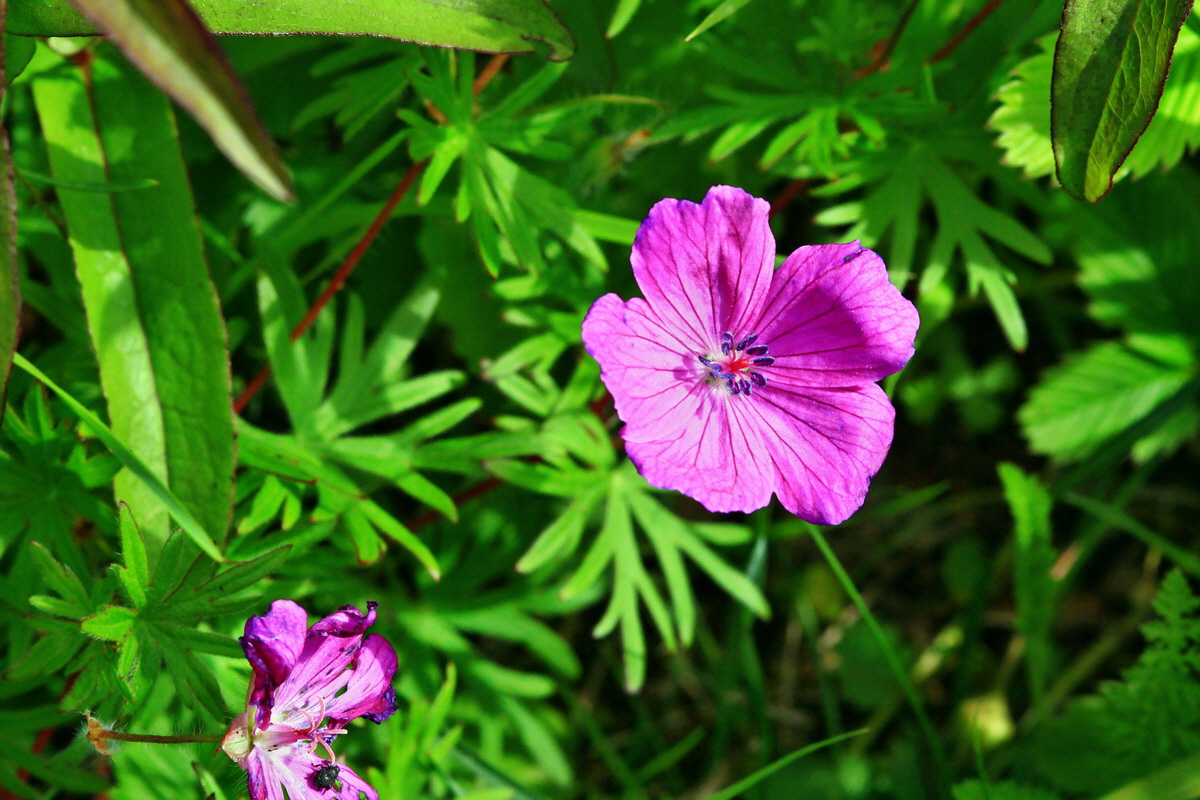 2013_06_03_00018149_Bildgr��e �ndern