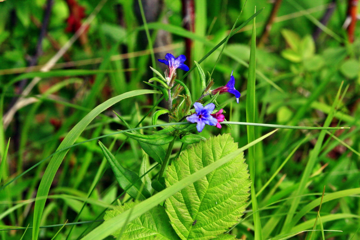 2013_06_03_00018157_Bildgr��e �ndern