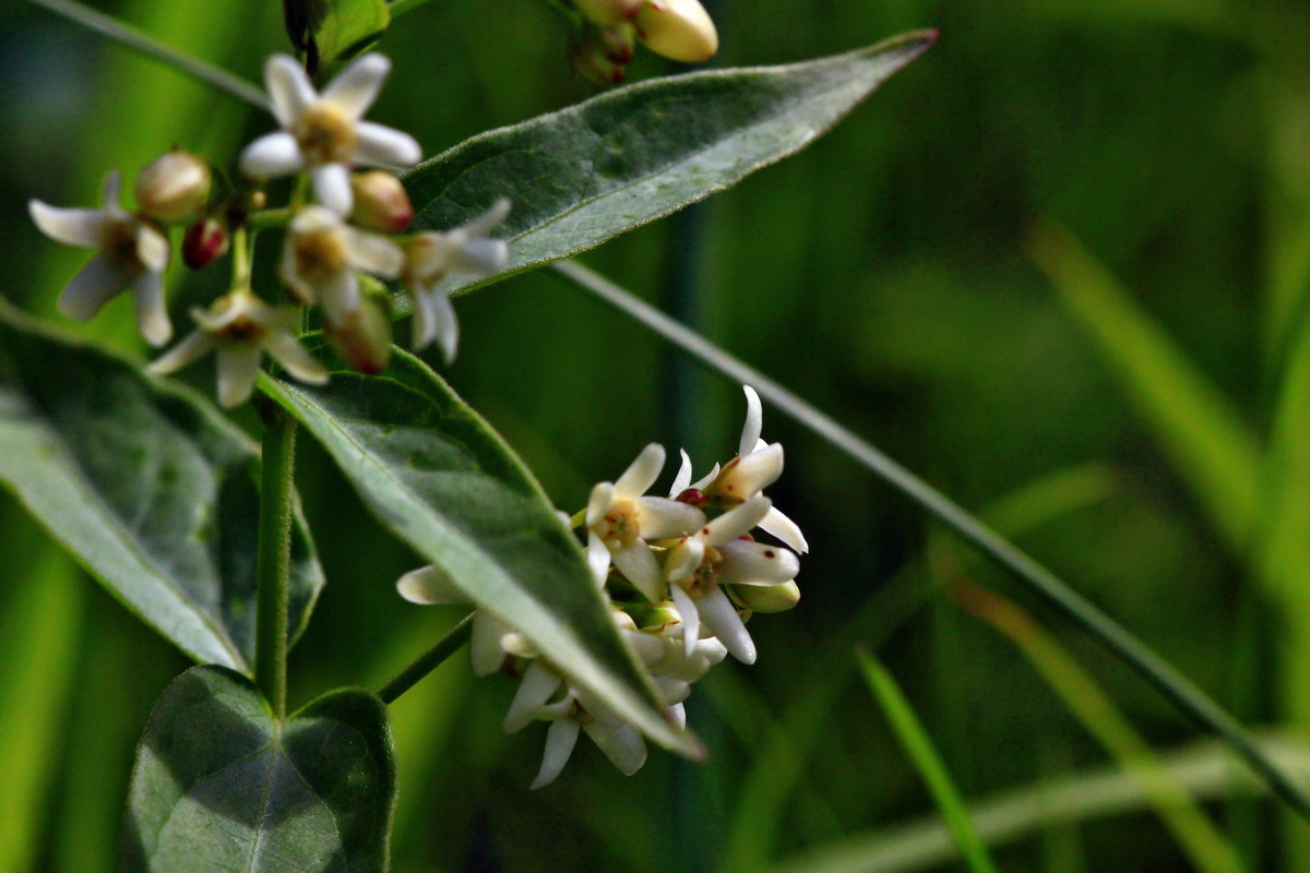 2013_06_03_00018177_Bildgr��e �ndern