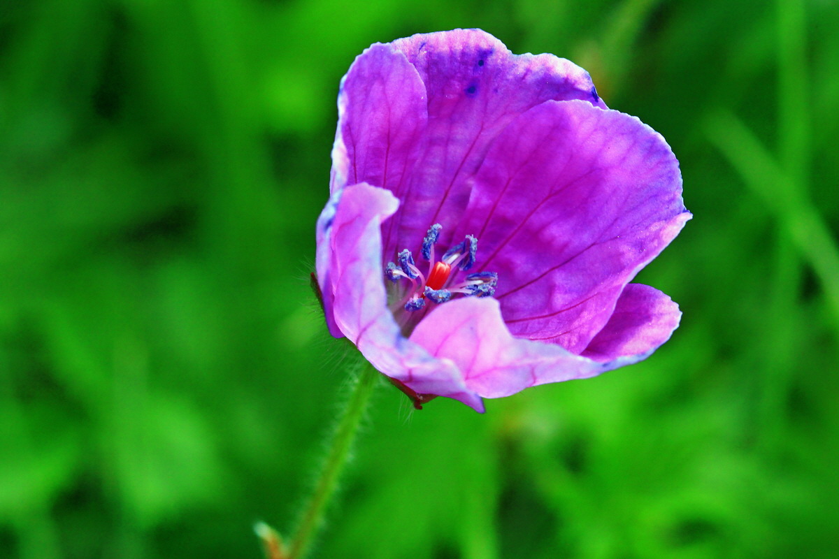 2013_06_03_00018188_Bildgr��e �ndern