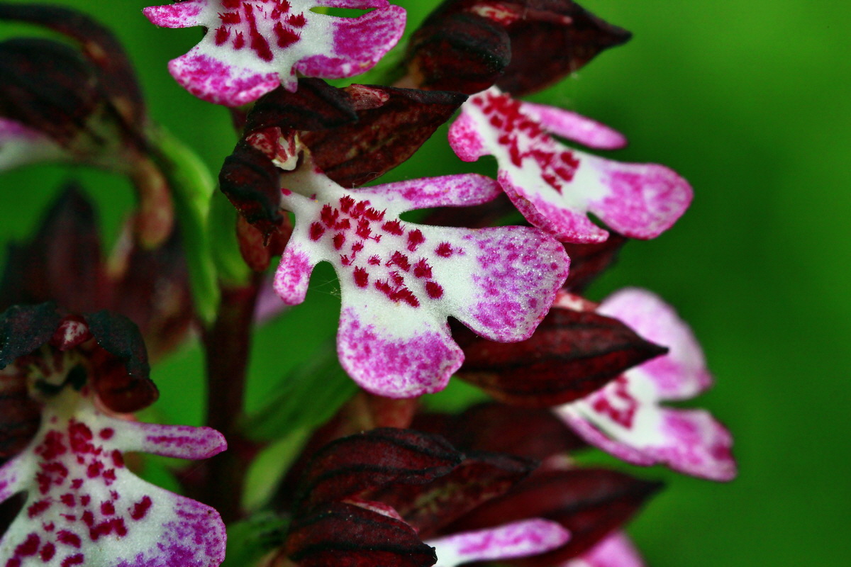 2013_06_03_00018217_Bildgr��e �ndern