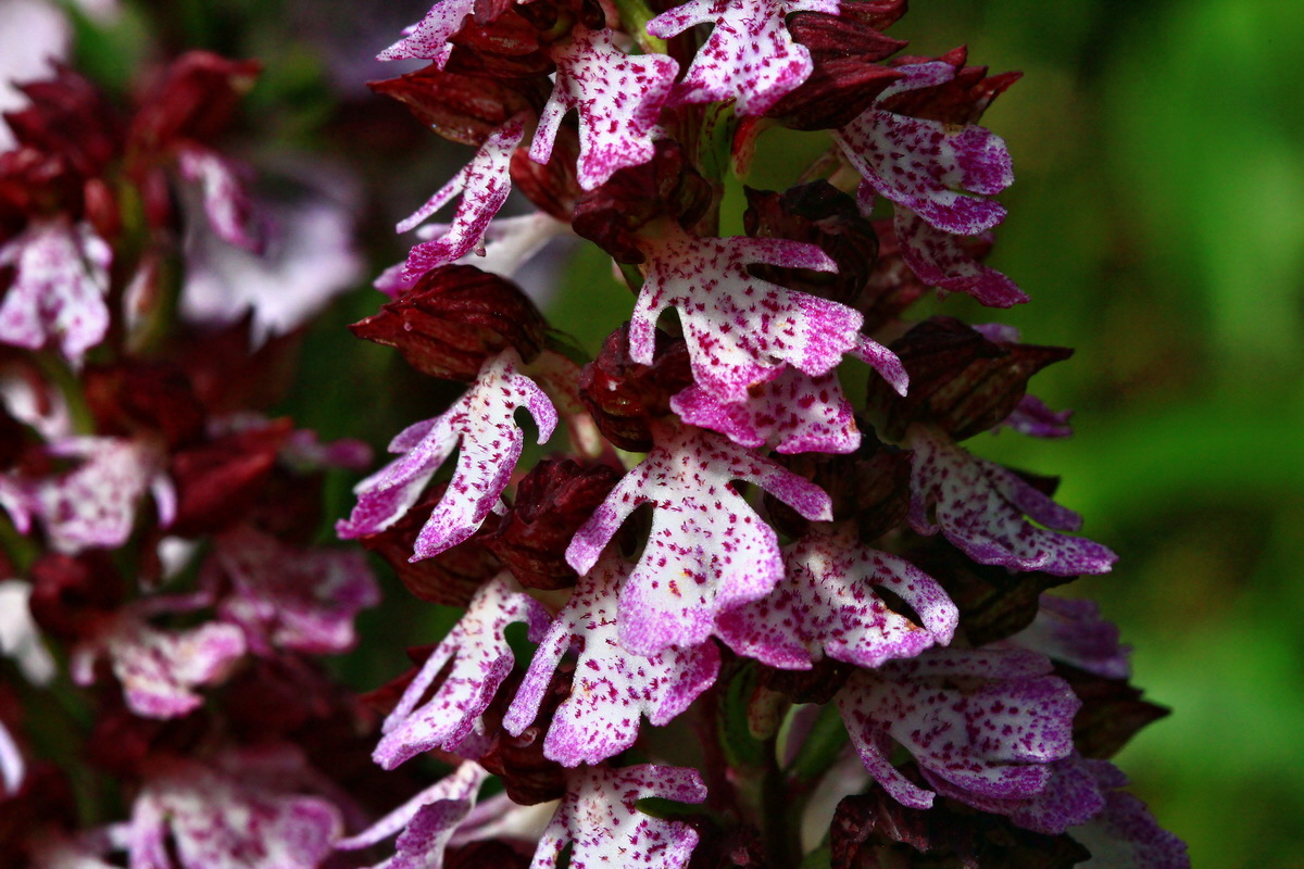 2013_06_03_00018241_Bildgr��e �ndern