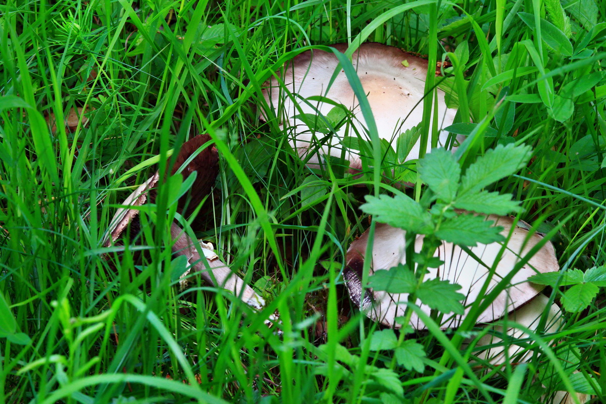 2013_06_03_00018306_Bildgr��e �ndern