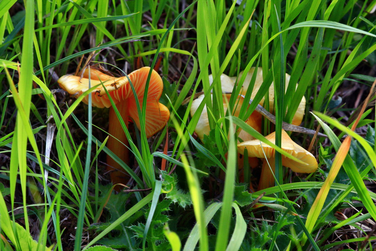 2013_06_03_00018349_Bildgr��e �ndern