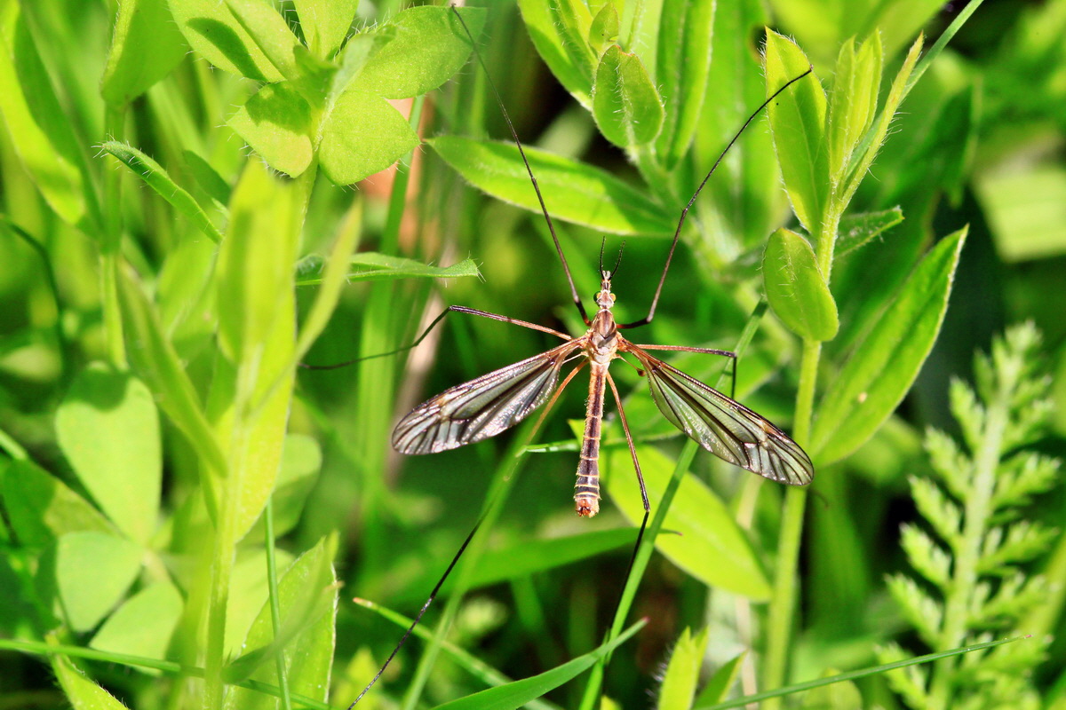 2013_06_03_00018385_Bildgr��e �ndern