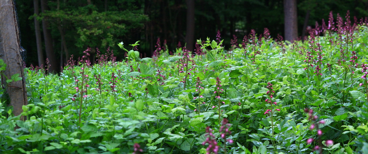 [Group 2]-2013_06_04_00018483_2013_06_04_00018486-4 images_Bildgr��e �ndern