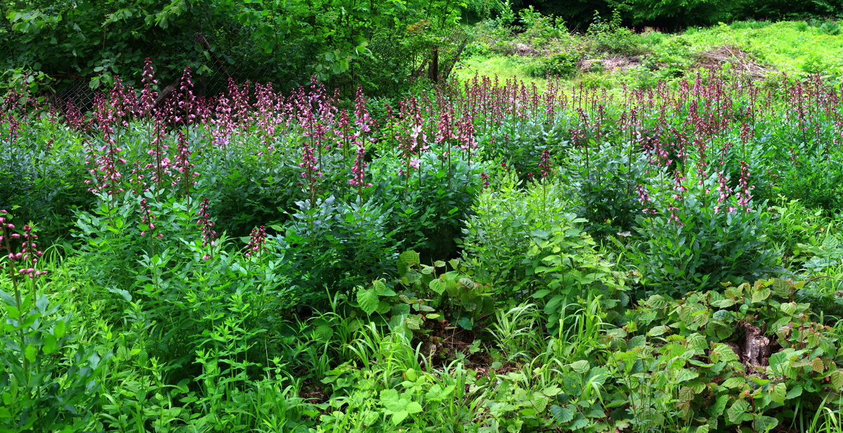 [Group 3]-2013_06_04_00018601_2013_06_04_00018644-19 images_Bildgr��e �ndern