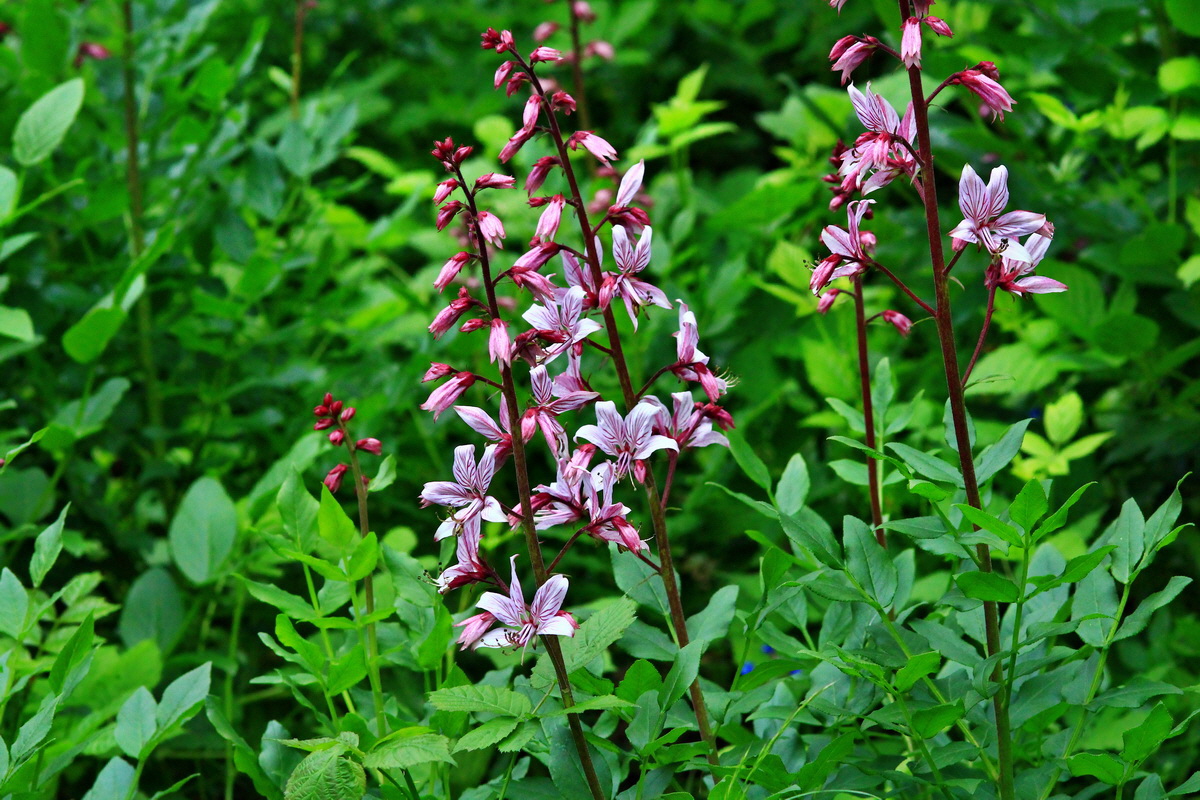 2013_06_04_00018491_Bildgr��e �ndern