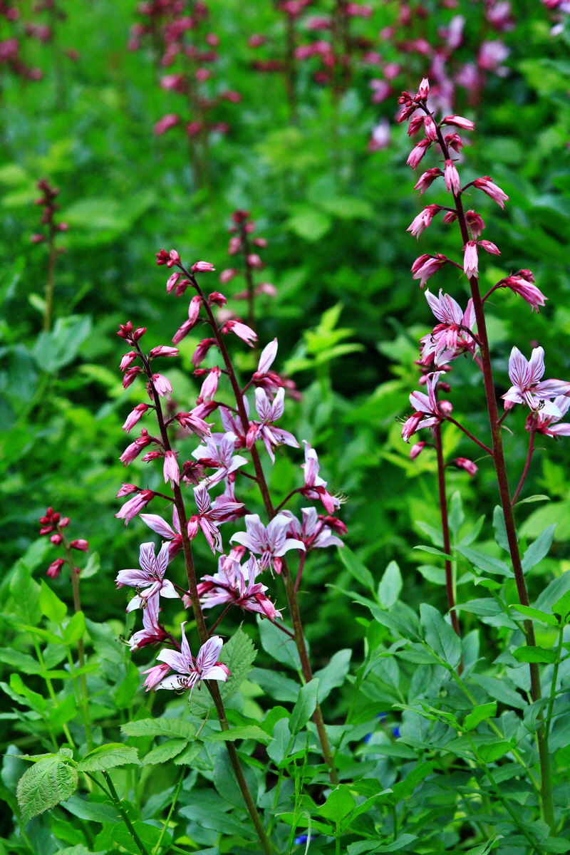 2013_06_04_00018494_Bildgr��e �ndern