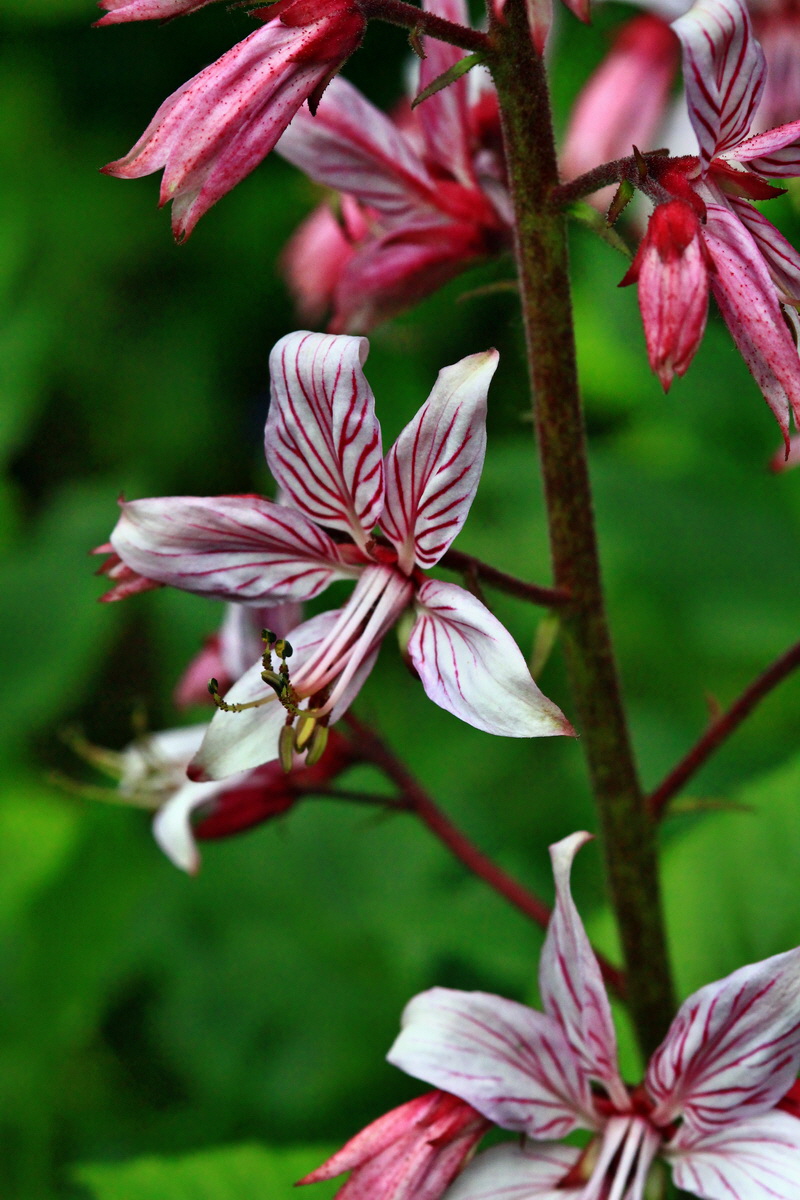 2013_06_04_00018497_Bildgr��e �ndern