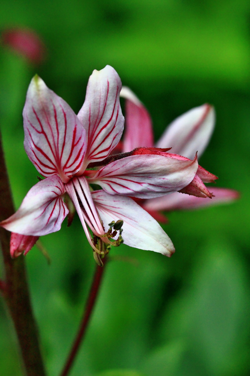 2013_06_04_00018502_Bildgr��e �ndern