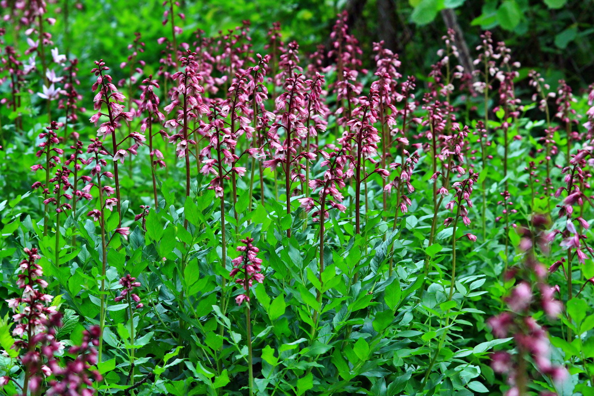 2013_06_04_00018583_Bildgr��e �ndern