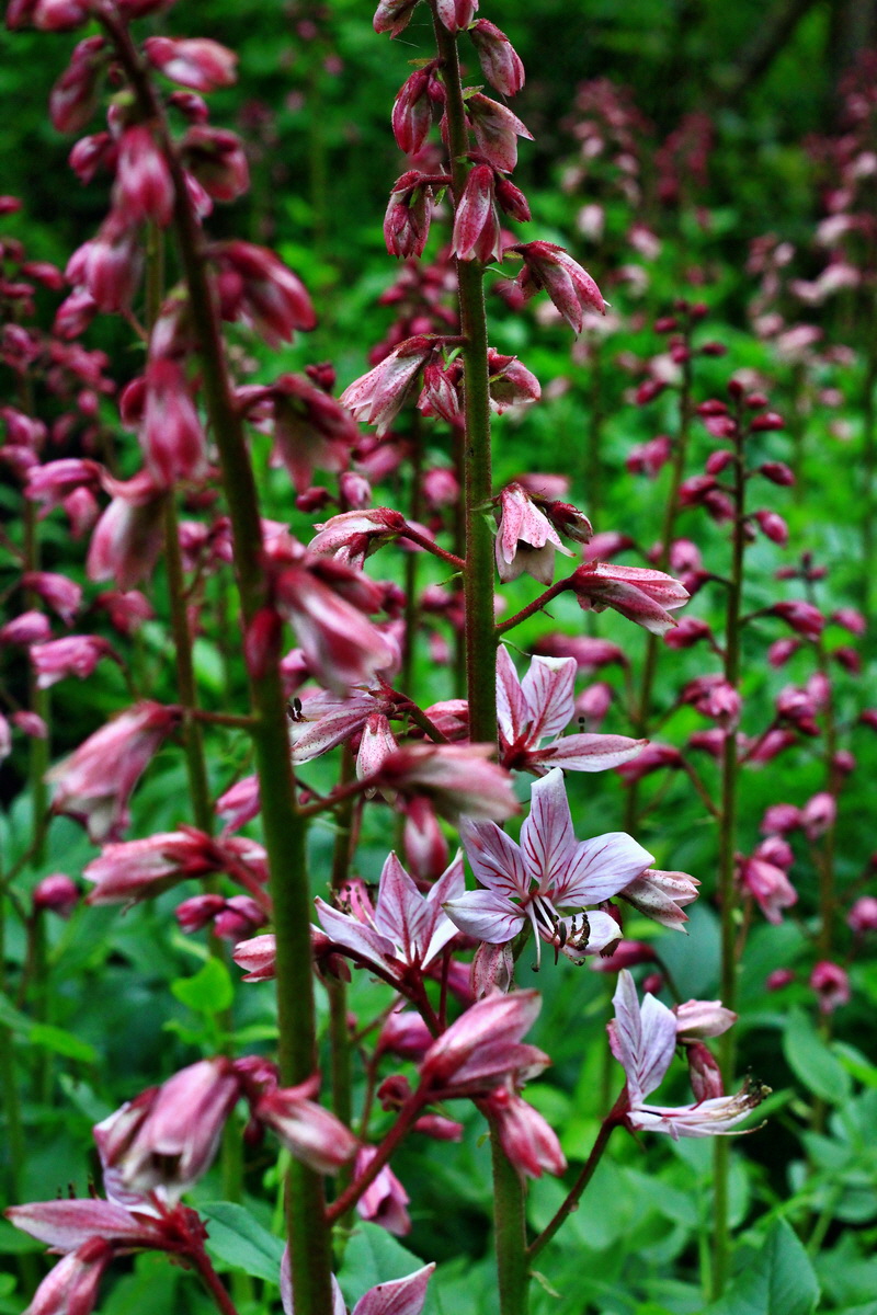 2013_06_04_00018594_Bildgr��e �ndern