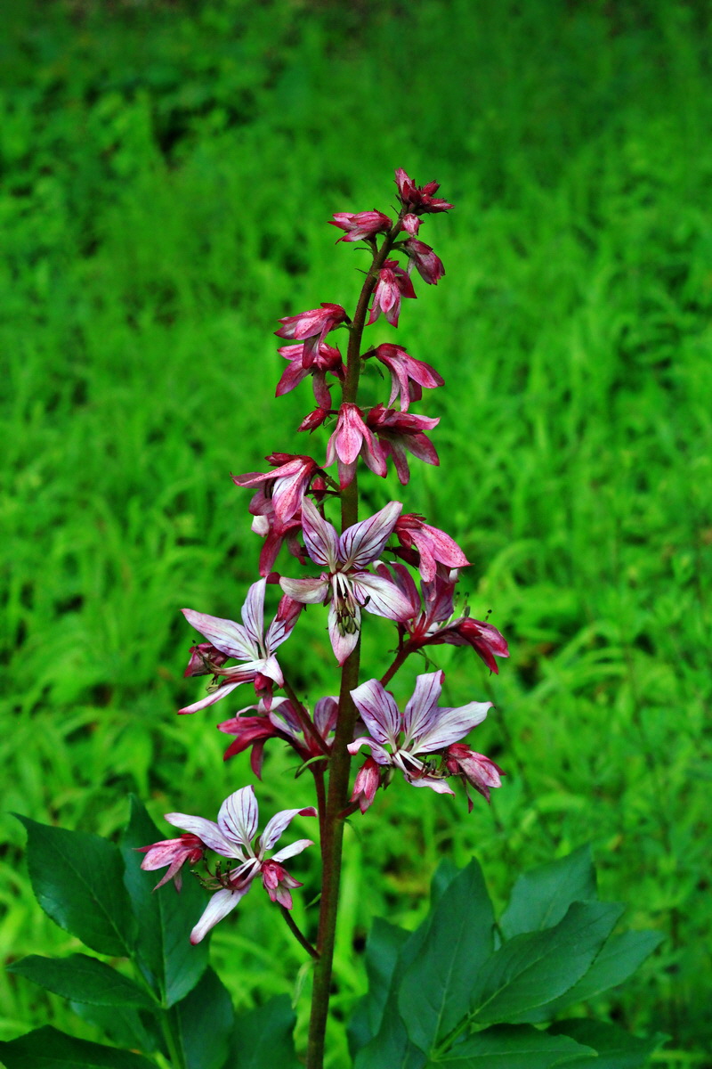 2013_06_04_00018653_Bildgr��e �ndern