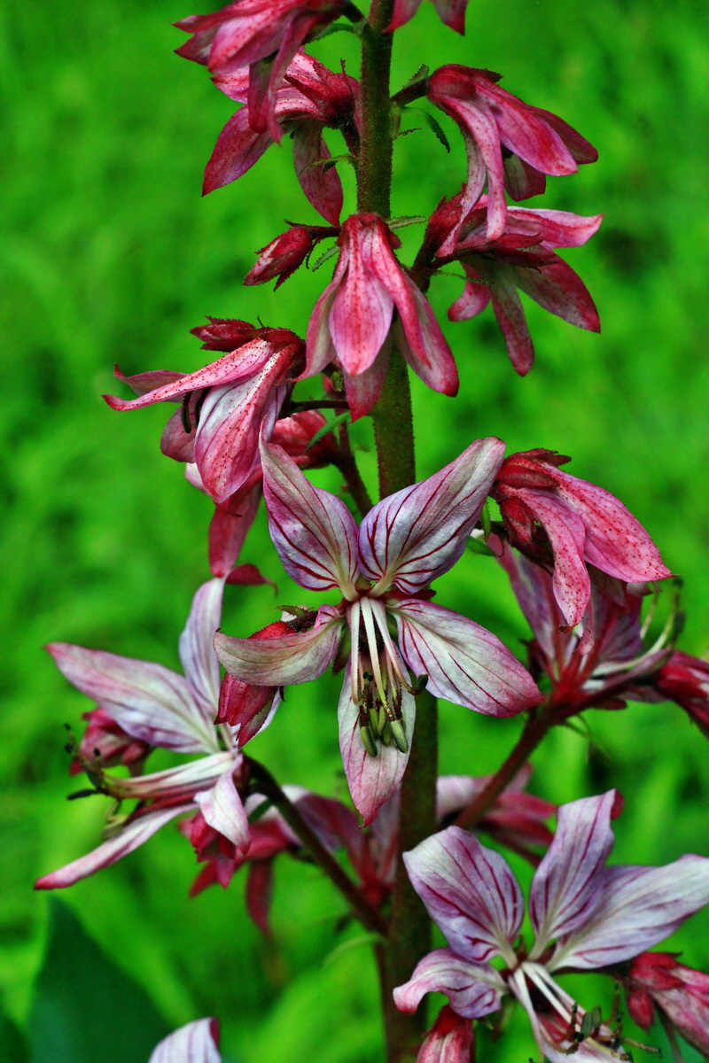 2013_06_04_00018656_Bildgr��e �ndern