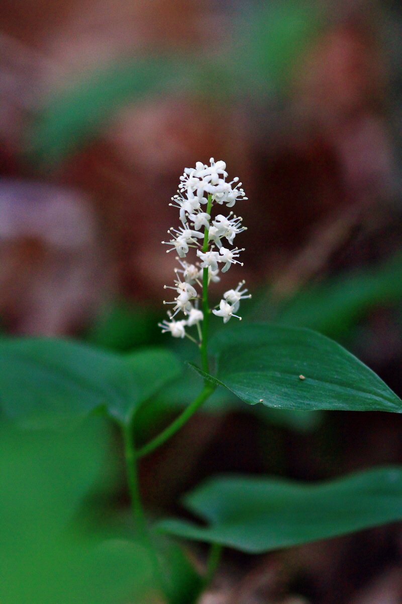 2013_06_04_00018683_Bildgr��e �ndern