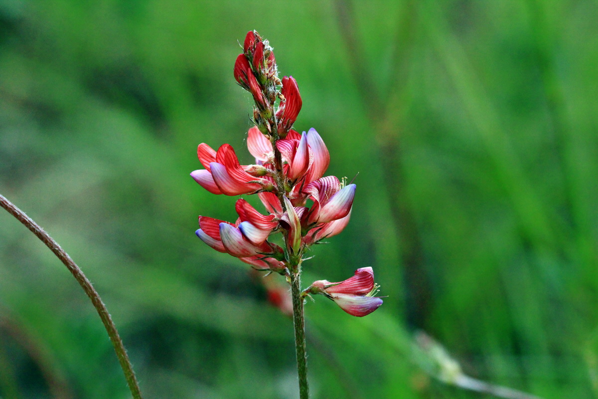 2013_06_04_00018687_Bildgr��e �ndern