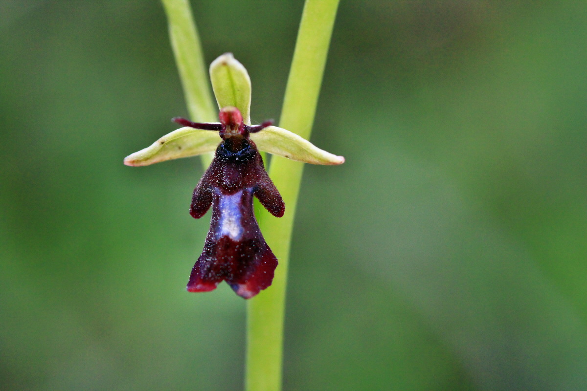 2013_06_04_00018716_Bildgr��e �ndern