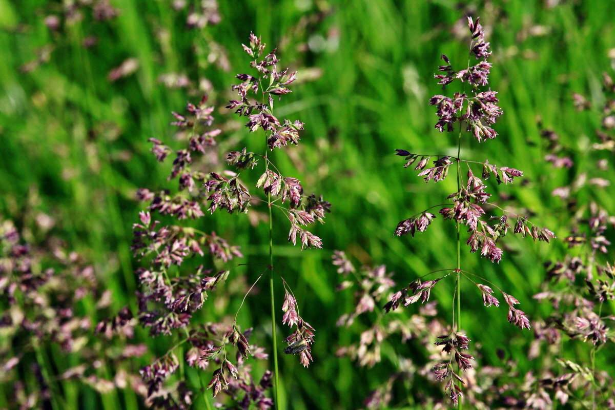 2013_06_05_00019037_Bildgr��e �ndern