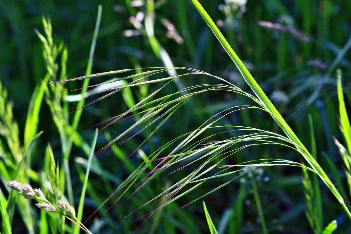 2013_06_05_00019051_Bildgr��e �ndern