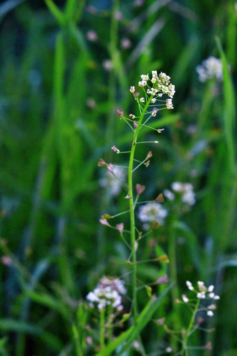 2013_06_05_00019059_Bildgr��e �ndern