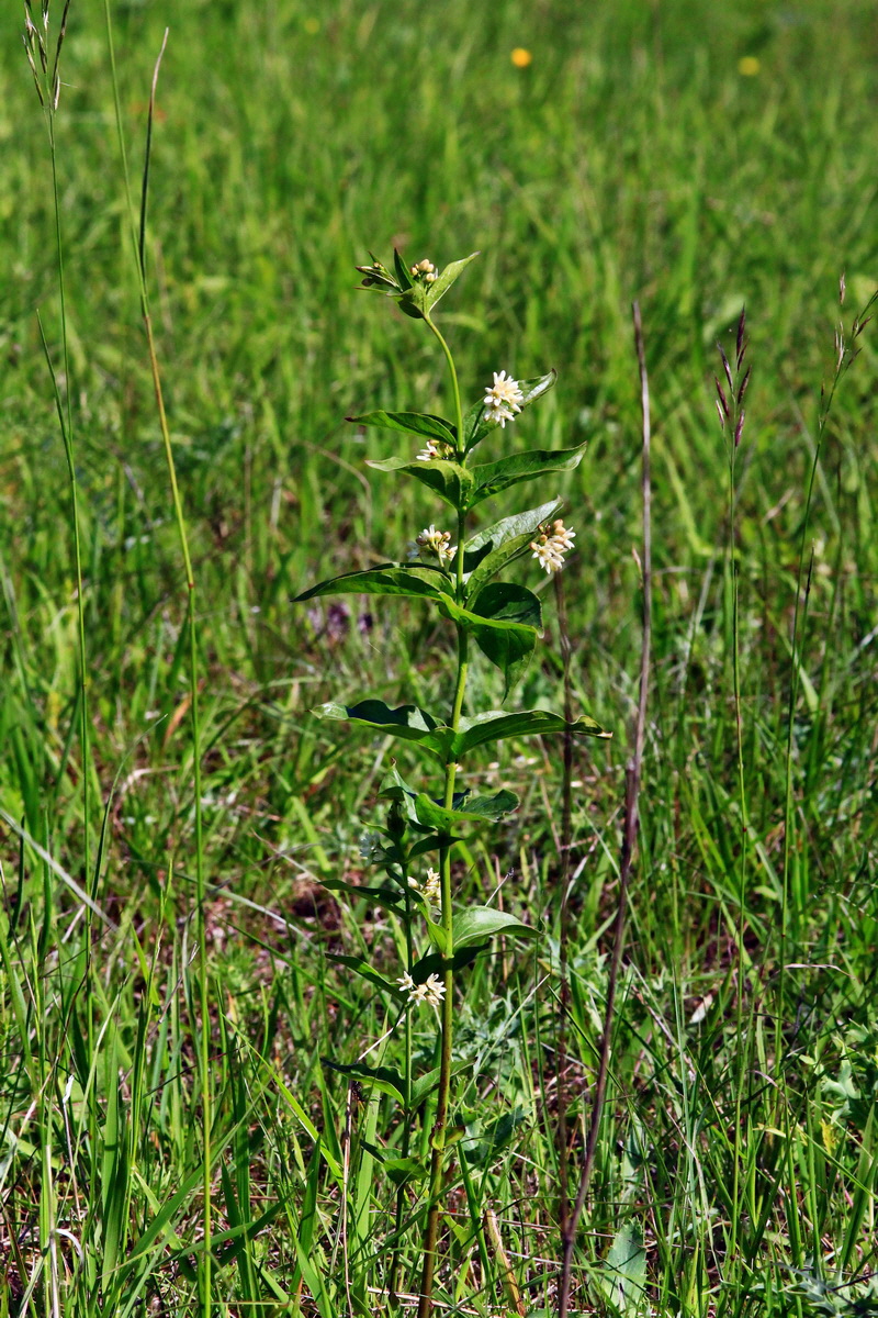 2013_06_05_00019063_Bildgr��e �ndern