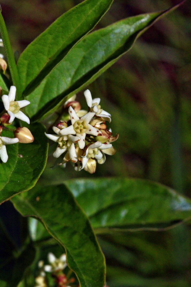 2013_06_05_00019066_Bildgr��e �ndern