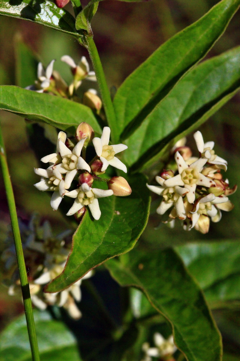 2013_06_05_00019071_Bildgr��e �ndern