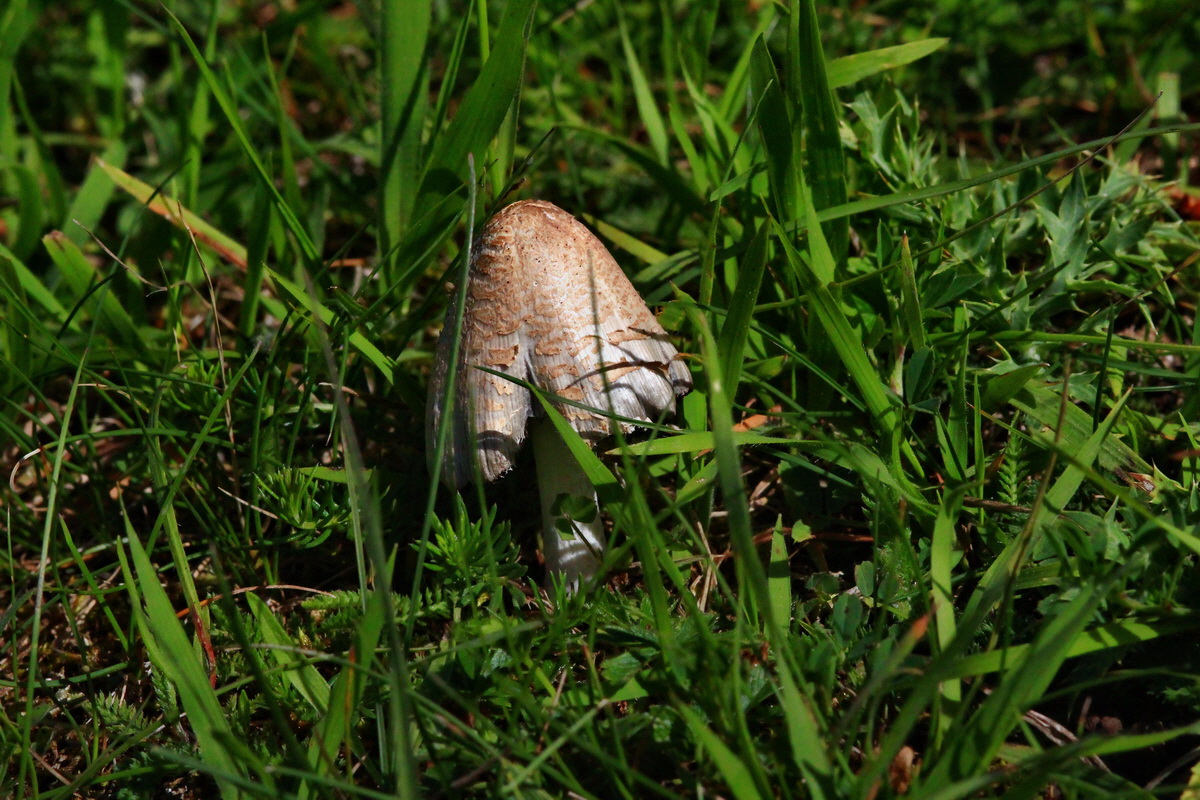 2013_06_05_00019078_Bildgr��e �ndern