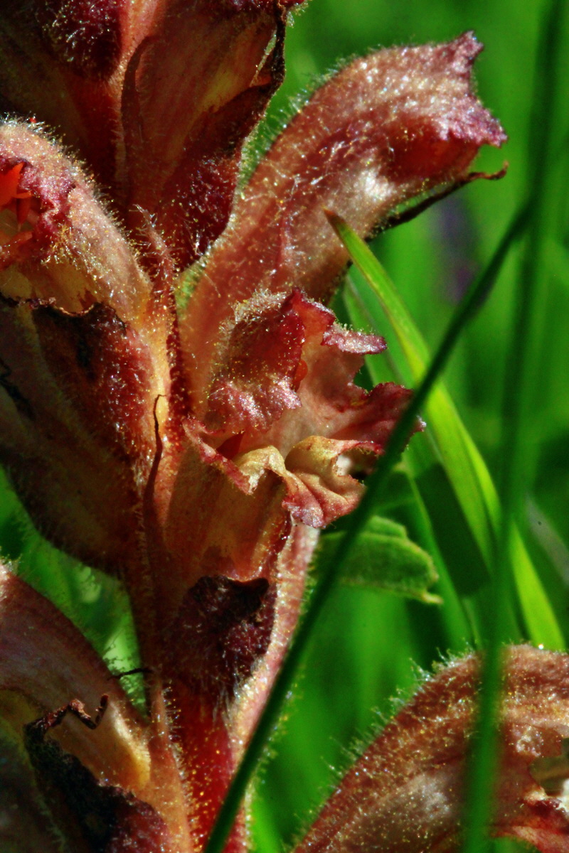 2013_06_05_00019112_Bildgr��e �ndern