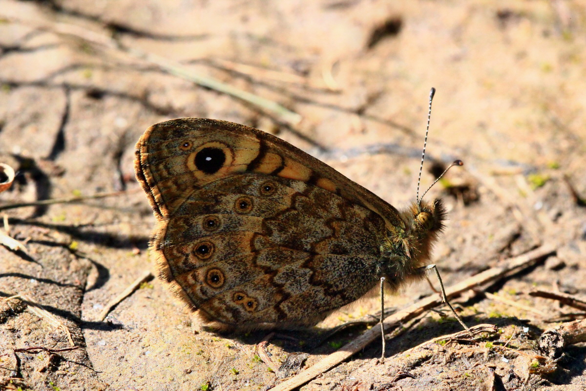 2013_06_05_00019134_Bildgr��e �ndern