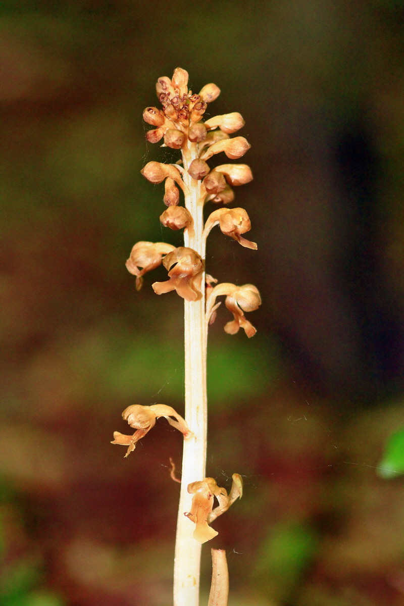 2013_06_05_00019157_Bildgr��e �ndern