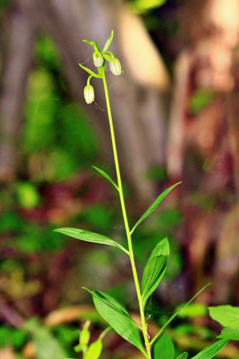 2013_06_05_00019161_Bildgr��e �ndern