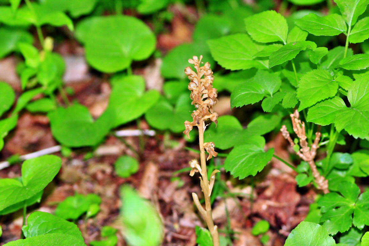 2013_06_05_00019177_Bildgr��e �ndern