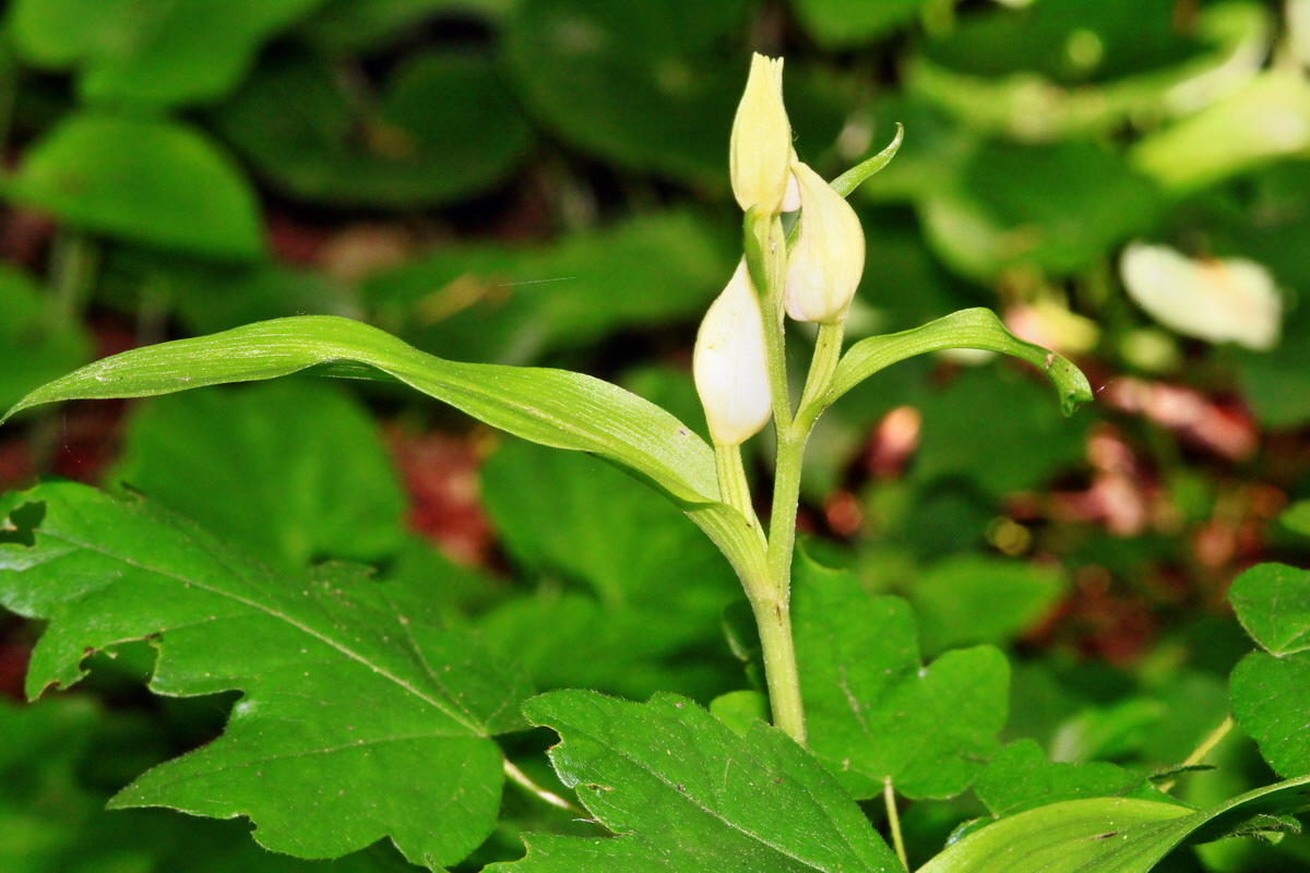 2013_06_05_00019185_Bildgr��e �ndern