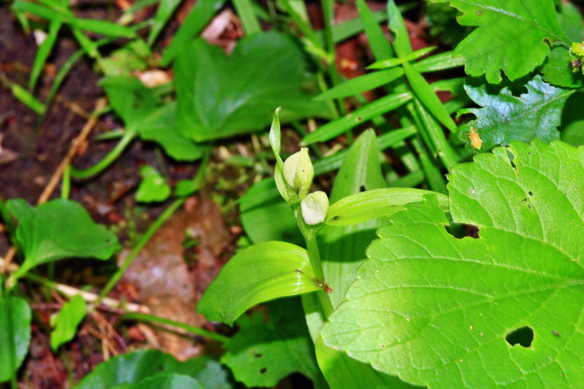 2013_06_05_00019188_Bildgr��e �ndern