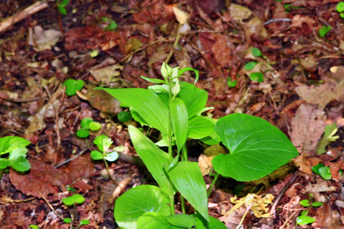 2013_06_05_00019197_Bildgr��e �ndern