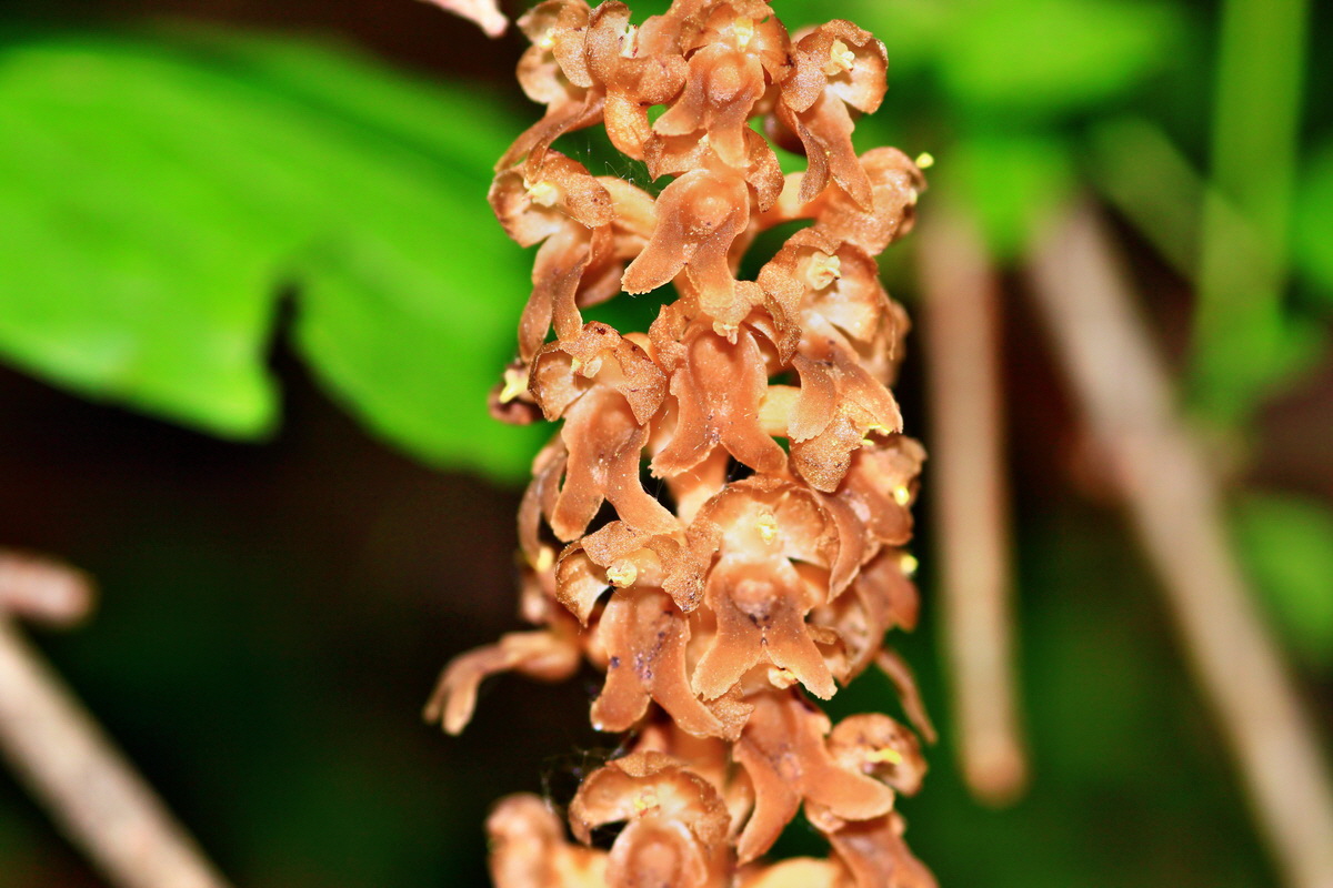 2013_06_05_00019283_Bildgr��e �ndern