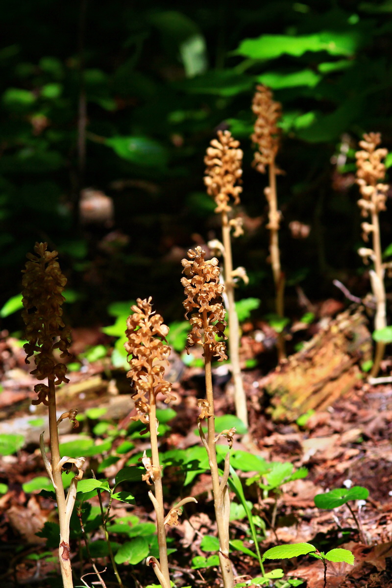 2013_06_05_00019288_Bildgr��e �ndern