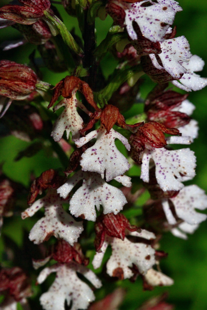 2013_06_05_00019356_Bildgr��e �ndern