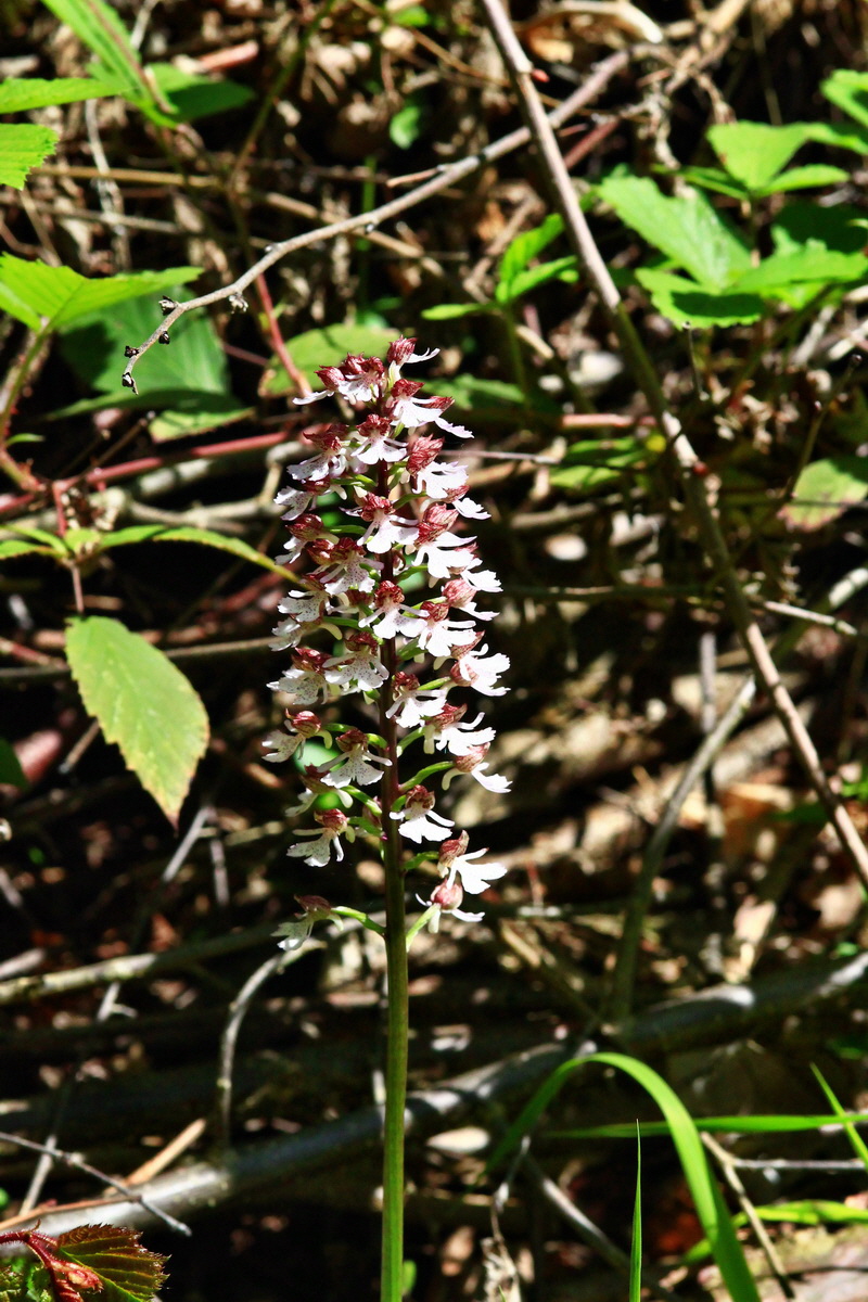 2013_06_05_00019368_Bildgr��e �ndern